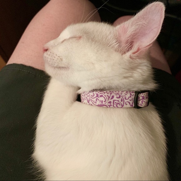 Meet your Posher, Emily! - Picture 8 of 8